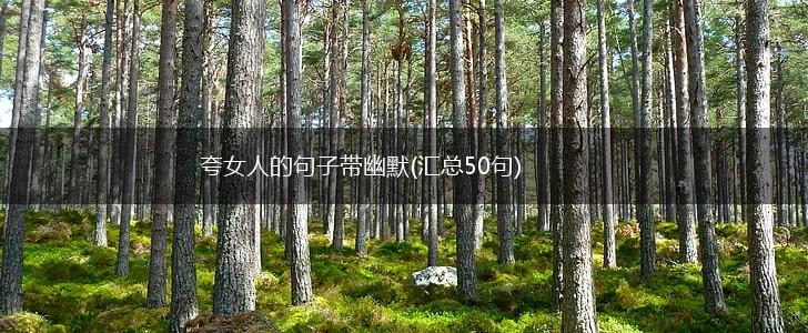 夸女人的句子带幽默(汇总50句),第1张
