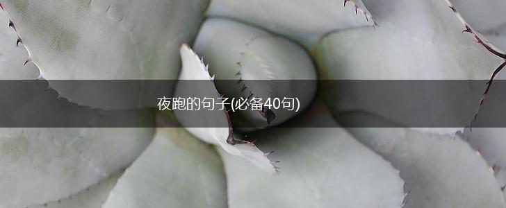 夜跑的句子(必备40句),第1张