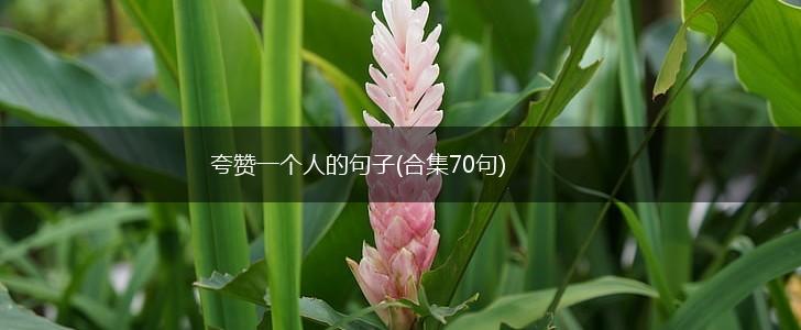 夸赞一个人的句子(合集70句),第1张