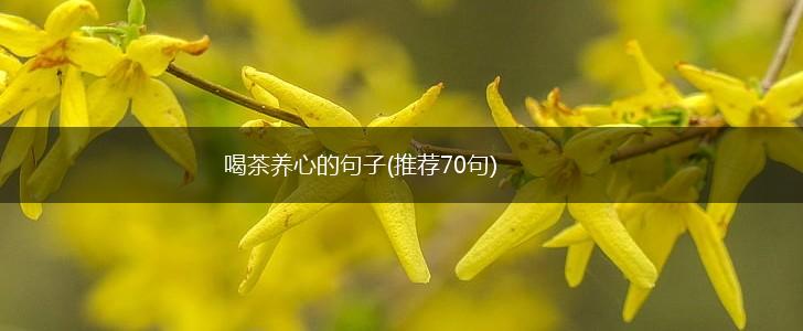喝茶养心的句子(推荐70句),第1张