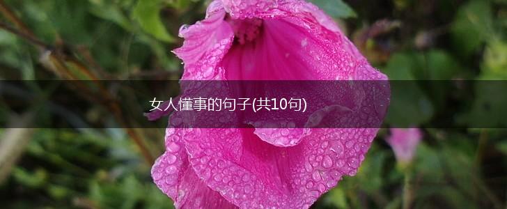 女人懂事的句子(共10句),第1张
