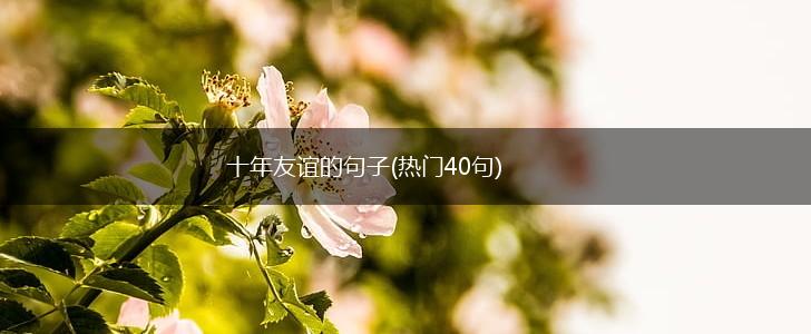 十年友谊的句子(热门40句),第1张
