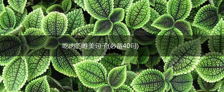吃肉的唯美句子(必备40句),第1张