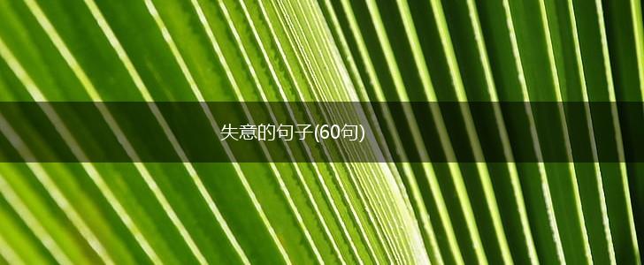 失意的句子(60句),第1张