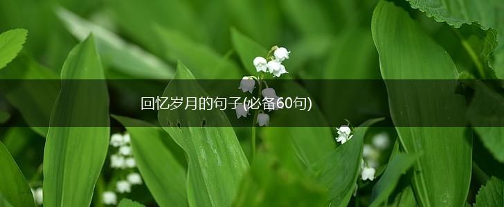 回忆岁月的句子(必备60句),第1张