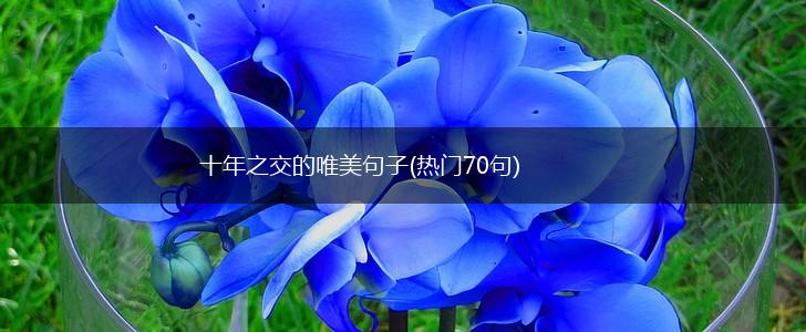 十年之交的唯美句子(热门70句),第1张