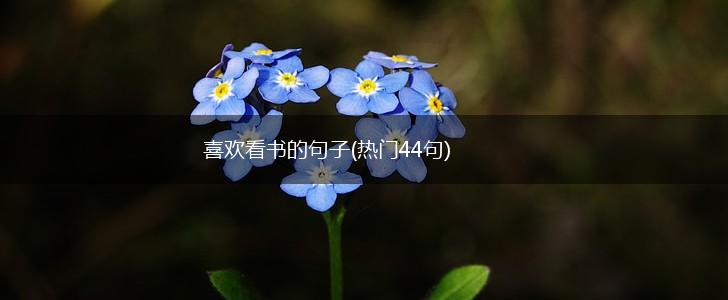 喜欢看书的句子(热门44句),第1张