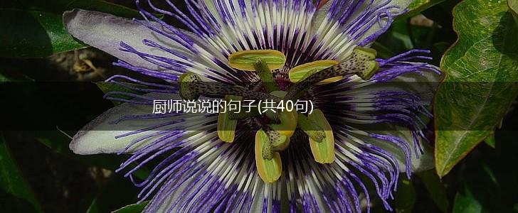 厨师说说的句子(共40句),第1张