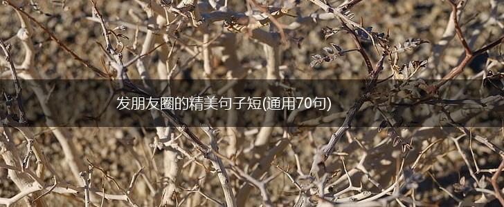 发朋友圈的精美句子短(通用70句),第1张