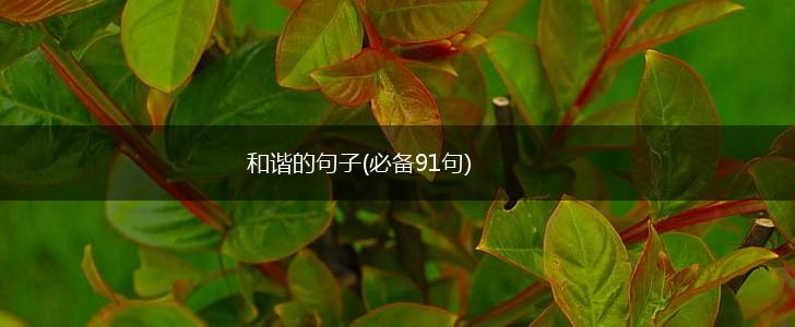 和谐的句子(必备91句),第1张