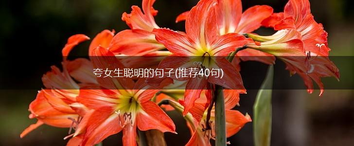 夸女生聪明的句子(推荐40句),第1张