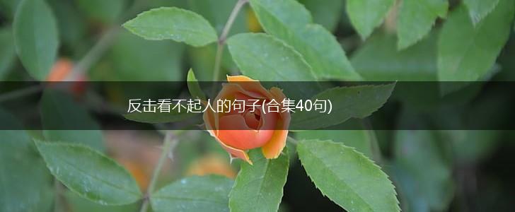 反击看不起人的句子(合集40句),第1张