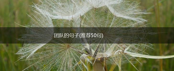 团队的句子(推荐50句),第1张