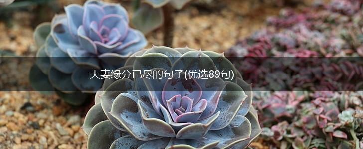 夫妻缘分已尽的句子(优选89句),第1张