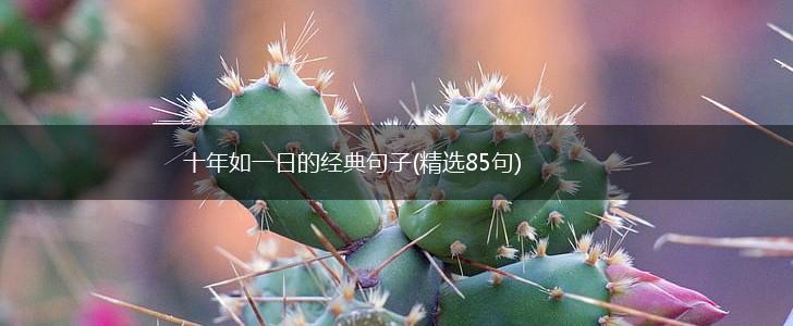 十年如一日的经典句子(精选85句),第1张