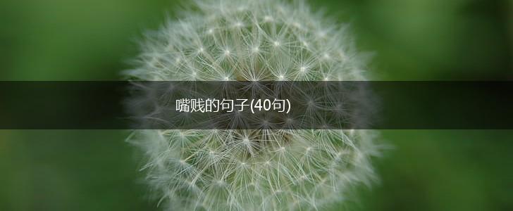 嘴贱的句子(40句),第1张