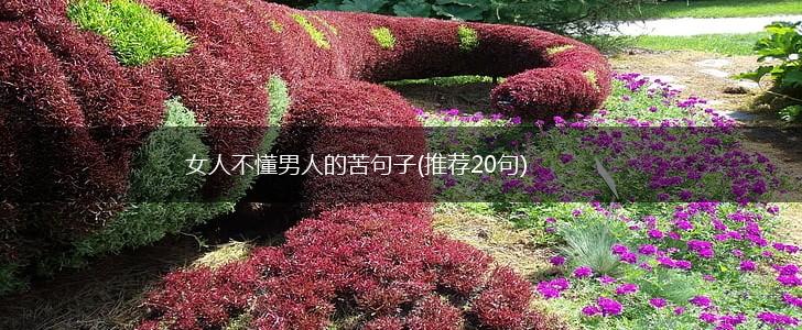 女人不懂男人的苦句子(推荐20句),第1张
