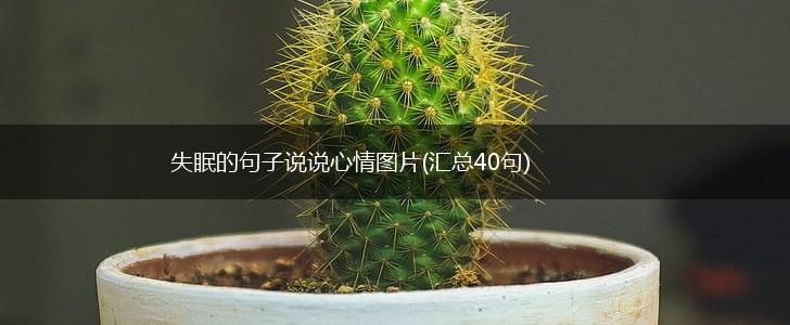 失眠的句子说说心情图片(汇总40句),第1张