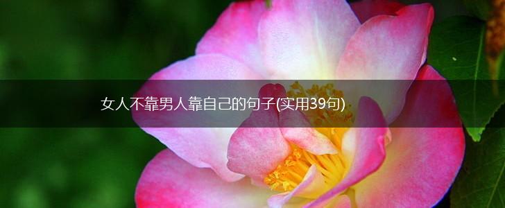 女人不靠男人靠自己的句子(实用39句),第1张