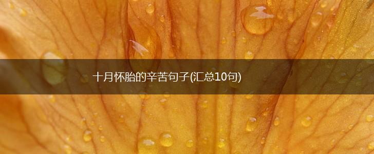 十月怀胎的辛苦句子(汇总10句),第1张