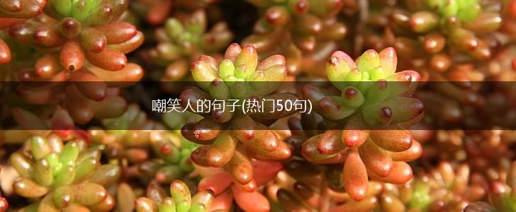 嘲笑人的句子(热门50句),第1张