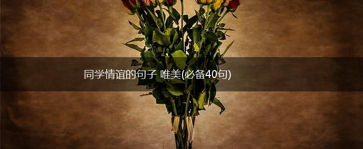 同学情谊的句子 唯美(必备40句),第1张