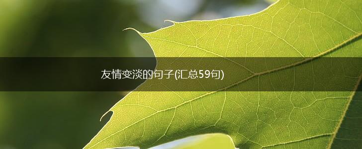 友情变淡的句子(汇总59句),第1张