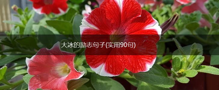 大冰的励志句子(实用90句),第1张