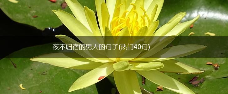 夜不归宿的男人的句子(热门40句),第1张