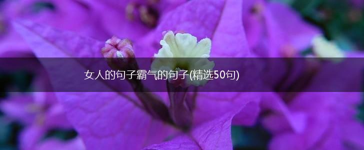 女人的句子霸气的句子(精选50句),第1张