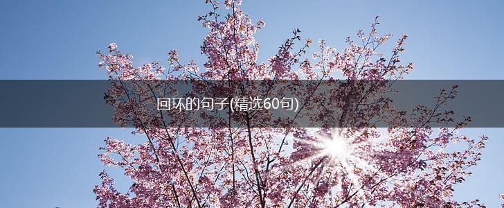 回环的句子(精选60句),第1张