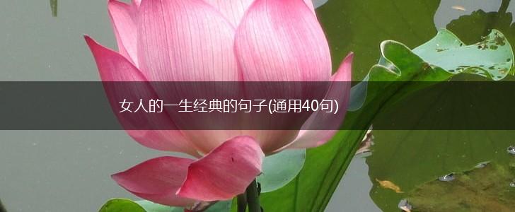 女人的一生经典的句子(通用40句),第1张