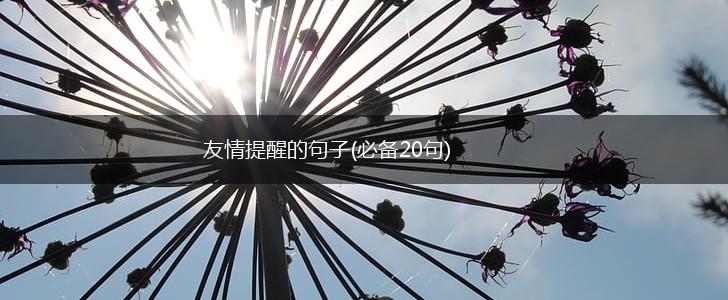 友情提醒的句子(必备20句),第1张