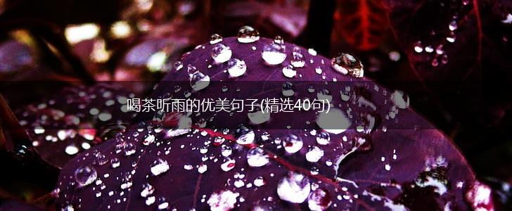 喝茶听雨的优美句子(精选40句),第1张