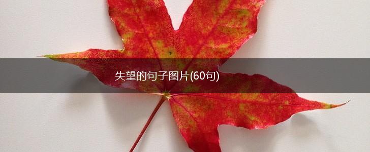 失望的句子图片(60句),第1张
