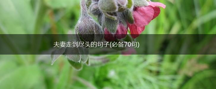夫妻走到尽头的句子(必备70句),第1张