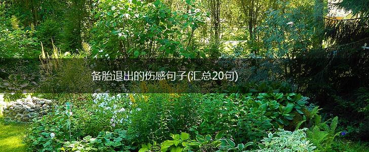 备胎退出的伤感句子(汇总20句),第1张