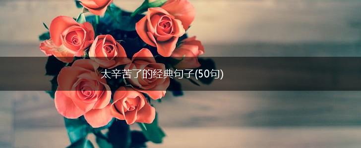 太辛苦了的经典句子(50句),第1张
