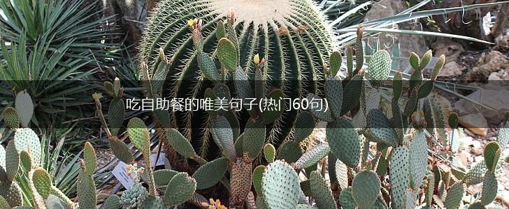 吃自助餐的唯美句子(热门60句),第1张