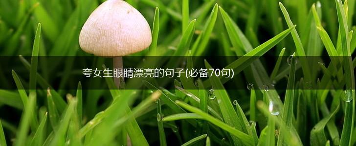 夸女生眼睛漂亮的句子(必备70句),第1张