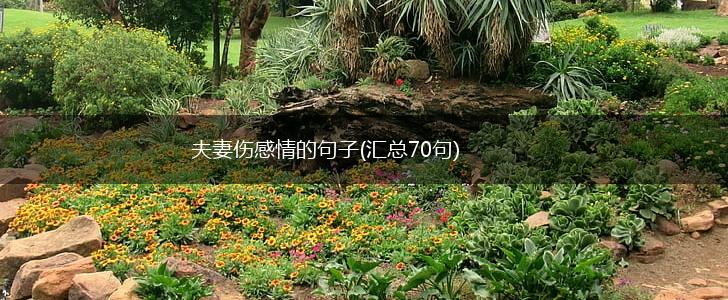 夫妻伤感情的句子(汇总70句),第1张