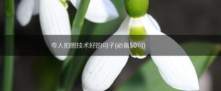 夸人拍照技术好的句子(必备50句),第1张