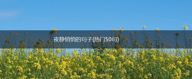夜静悄悄的句子(热门50句),第1张