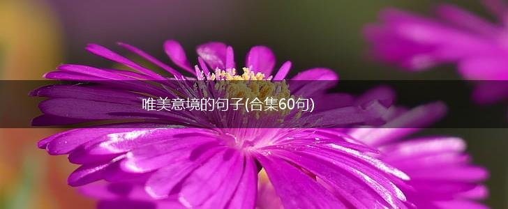 唯美意境的句子(合集60句),第1张