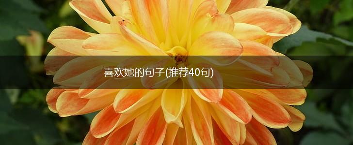 喜欢她的句子(推荐40句),第1张
