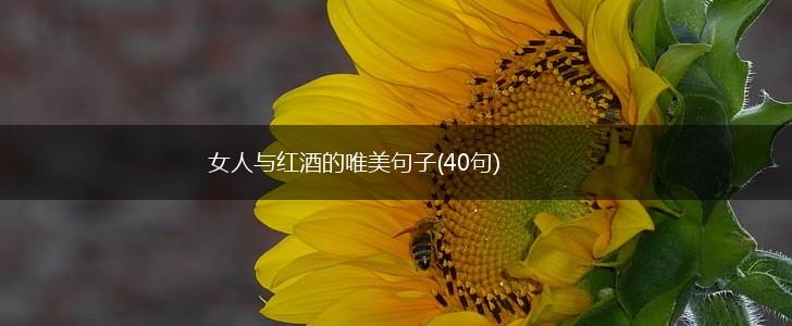 女人与红酒的唯美句子(40句),第1张