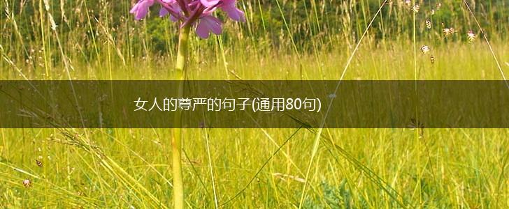 女人的尊严的句子(通用80句),第1张
