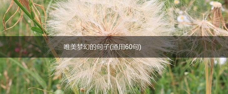 唯美梦幻的句子(通用60句),第1张