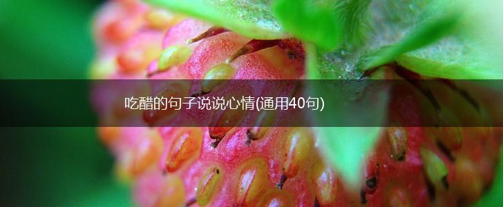 吃醋的句子说说心情(通用40句),第1张