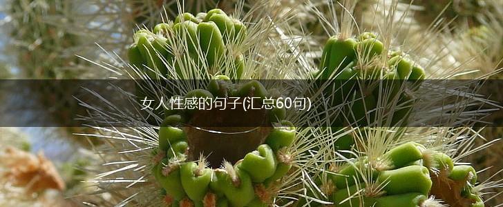 女人性感的句子(汇总60句),第1张